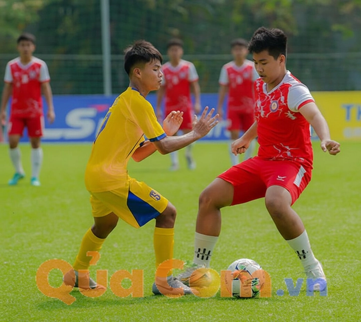 Kinh nghiệm l&agrave;m huấn luyện vi&ecirc;n b&oacute;ng đ&aacute; phong tr&agrave;o